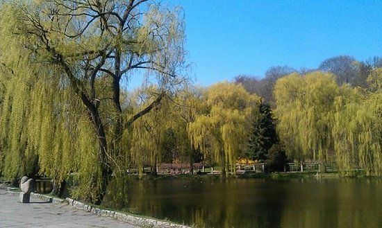 Warsztaty w Papugarni
